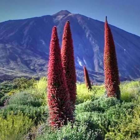 Διαμέρισμα Marody Tenerife House Ελ Μέντανο