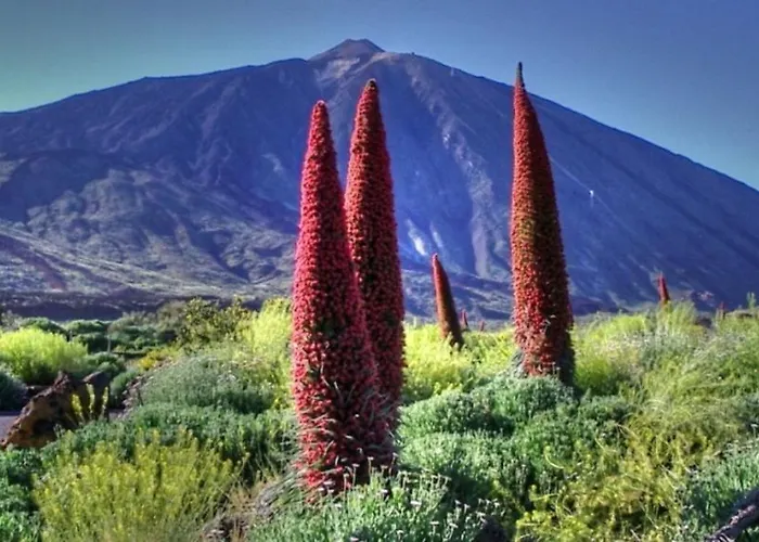 Appartement Marody Tenerife House El Médano